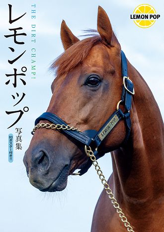 レモンポップ写真集 THE DIRT CHAMP! - ダーレー・ジャパン (写真集