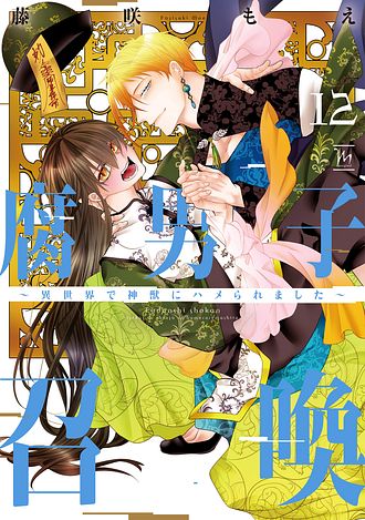 腐男子召喚～異世界で神獣にハメられました～　◆12冊セット売り◆ ※特装版あり 腐男子召喚～異世界で神獣にハメられました～ 12 - 藤咲もえ (コミック