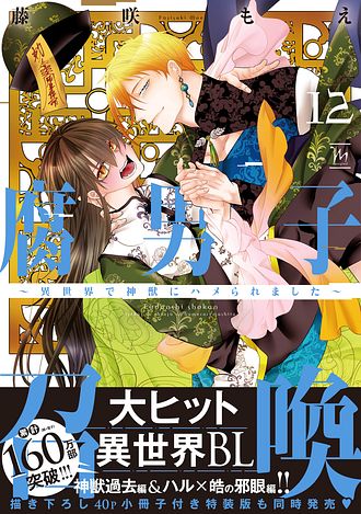 腐男子召喚～異世界で神獣にハメられました～ 12 - 藤咲もえ (コミック
