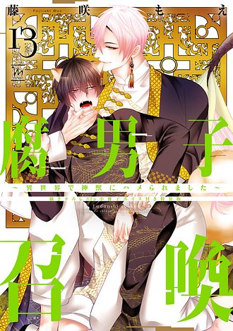 腐男子召喚～異世界で神獣にハメられました～ 2 - 藤咲もえ (コミック