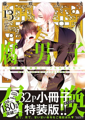 腐男子召喚～異世界で神獣にハメられました～ 13 【描き下ろし32p