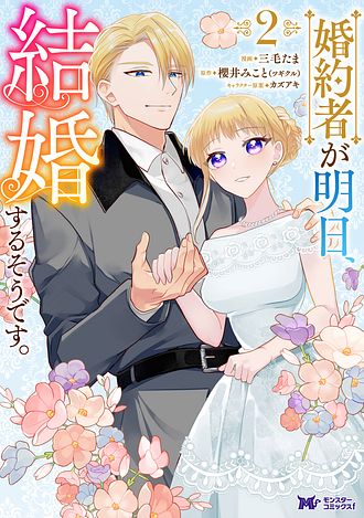 珍しい 婚約者が明日、結婚するそうです。 3 【コミック】 - 炭基研 その他